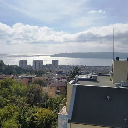 Panorama Briz